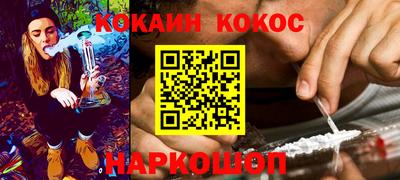 ешки Кингисепп