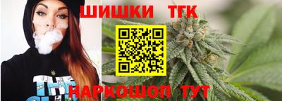 шишки Изобильный