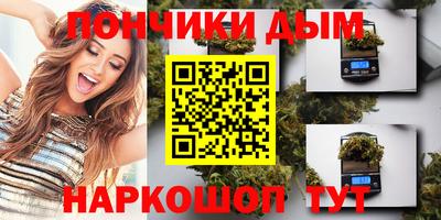 шишки Изобильный