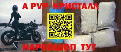 шишки Изобильный