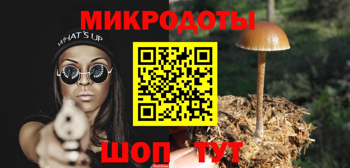 Галлюциногенные грибы Psilocybine cubensis  Вход с VPN  Дюртюли  Псилоцибиновые грибы Magic Shrooms 